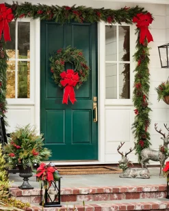 Outdoor Red Berry Pine Foliage