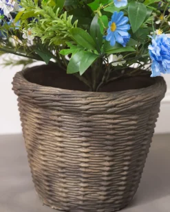 Outdoor Seaside Cottage Foliage