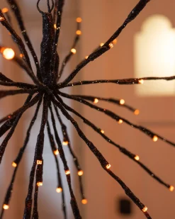 Outdoor Starburst Lights