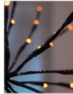 Outdoor Starburst Lights