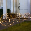 Outdoor Starburst Pathway Light Set