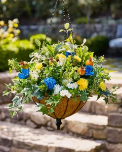 Outdoor Summer Breeze Foliage