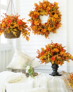 Outdoor Sunburst Mums Foliage