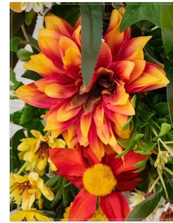 Outdoor Sunrise Dahlia Foliage