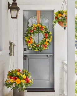 Outdoor Sunrise Dahlia Foliage