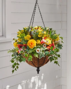 Outdoor Sunrise Dahlia Foliage