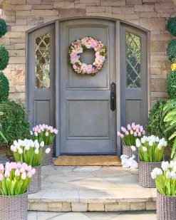 Outdoor Tulip Garden Foliage