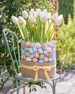 Outdoor Tulip Garden Foliage