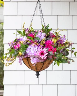 Outdoor Vibrant Summer Bloom Foliage