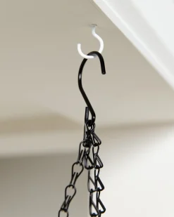 Outdoor Vivid Blooms Foliage