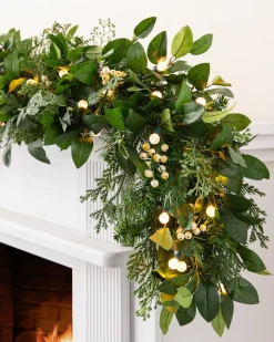 Outdoor White Berry Cypress Foliage