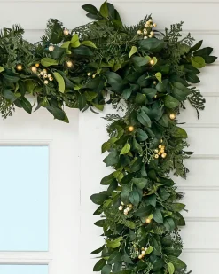 Outdoor White Berry Cypress Foliage