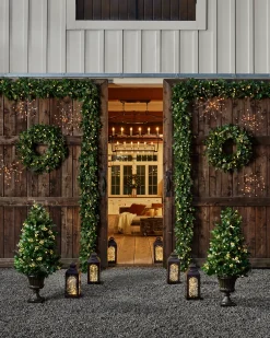 Outdoor White Berry Cypress Foliage