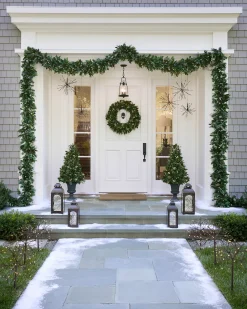 Outdoor White Berry Cypress Foliage