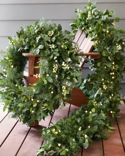 Outdoor White Berry Cypress Foliage