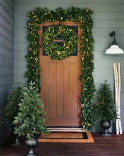 Outdoor White Berry Cypress Foliage