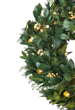 Outdoor White Berry Cypress Foliage