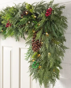 Outdoor Winter Evergreen Foliage