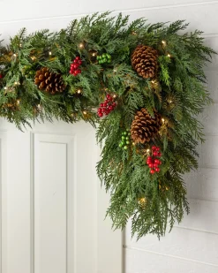 Outdoor Winter Evergreen Foliage