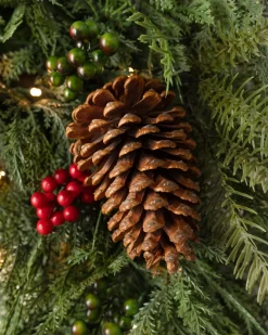 Outdoor Winter Evergreen Foliage