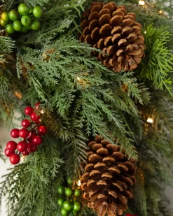 Outdoor Winter Evergreen Foliage