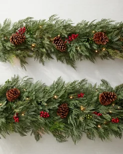 Outdoor Winter Evergreen Foliage