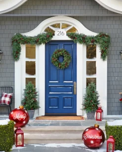 Outdoor Winter Evergreen Foliage