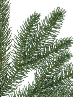 Park Avenue Corner Trees