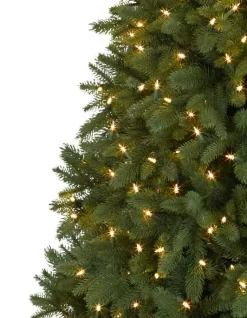 Park Avenue Corner Trees