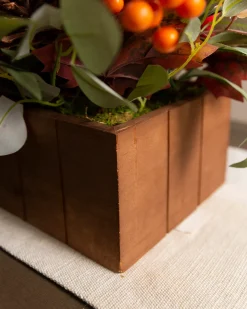 Persimmon & Pinecone Foliage