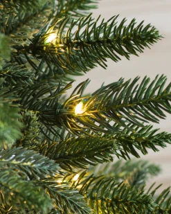 Poconos Pine Mini Trees