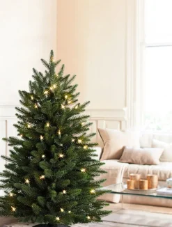 Poconos Pine Mini Trees