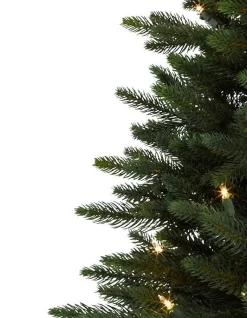 Poconos Pine Mini Trees