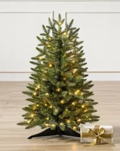 Poconos Pine Mini Trees