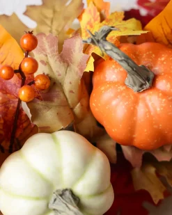 Pumpkin Patch & Berry Foliage