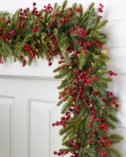 Red Berry BH Fraser Fir® Foliage