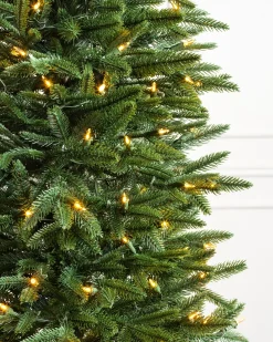 Revelstoke Fir® Trees