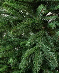 Revelstoke Fir® Trees