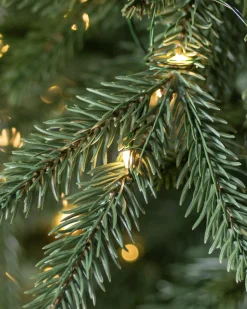 Revelstoke Fir® Trees