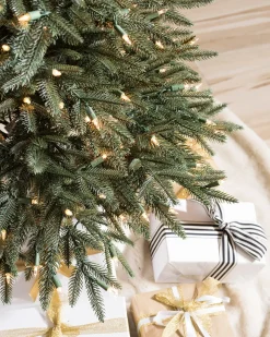 Revelstoke Fir® Trees