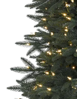 Revelstoke Fir® Trees