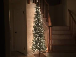 Revelstoke Fir® Trees