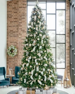 Rockefeller Pine Trees