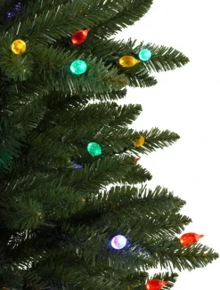 Rockefeller Pine Trees