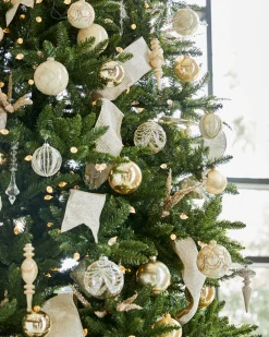 Rockefeller Pine Trees