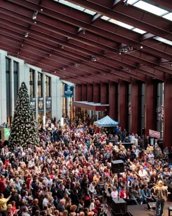 Rockefeller Pine Trees