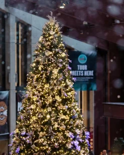 Rockefeller Pine Trees