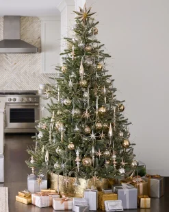 Sanibel Spruce Trees