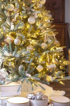 Sanibel Spruce Trees