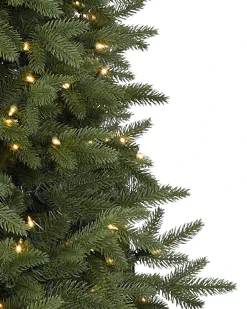 Silverado Slim® Trees